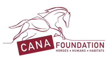 Cana Foundation logo